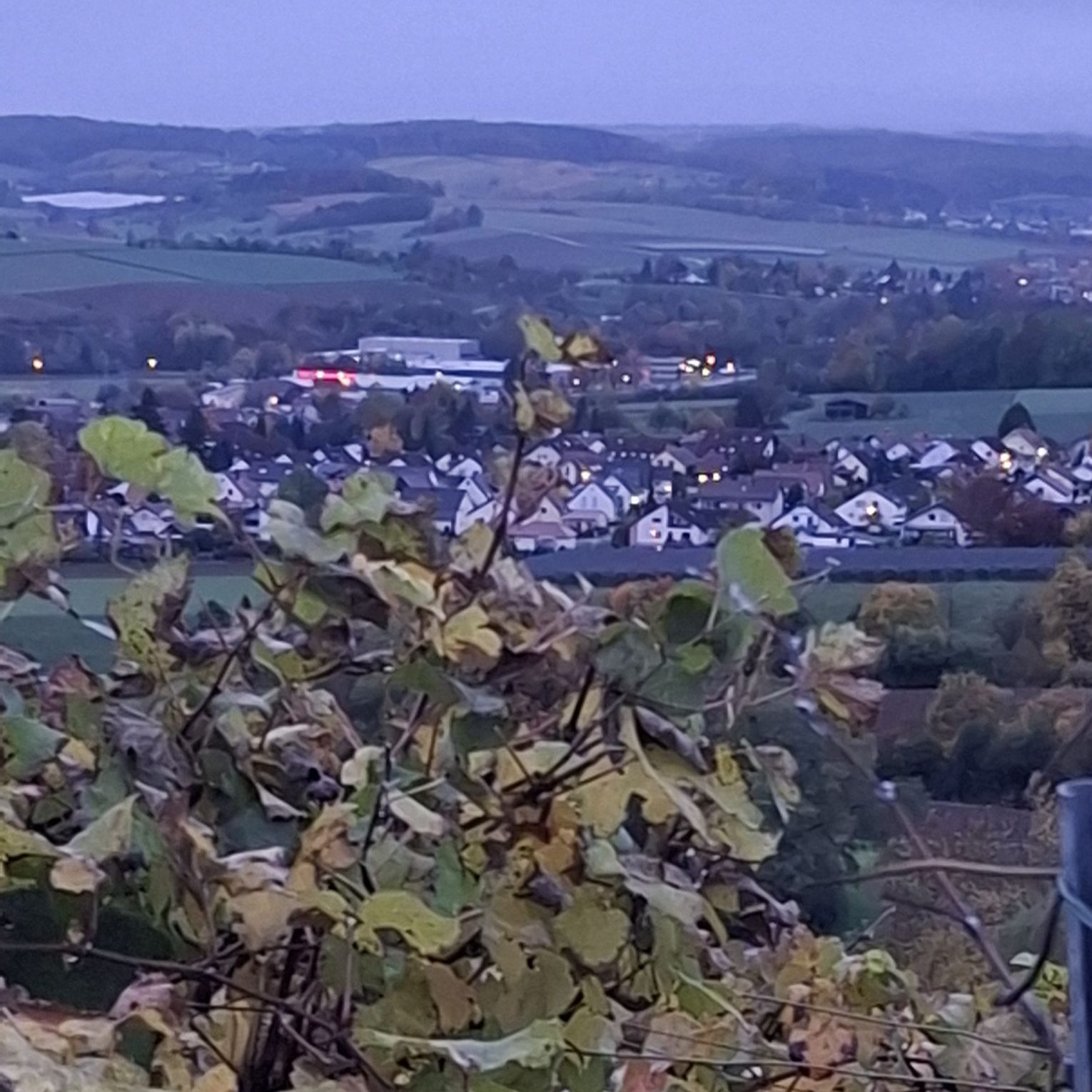 Виноделие в регионе Гогенлое (Баден-Вюртенберг)